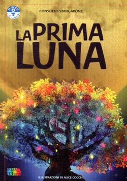 Copertina 9788896029480 Usato