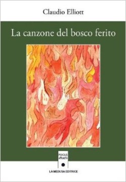 Copertina 9788898353149 Usato