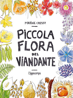 Copertina 9791256730438 Usato