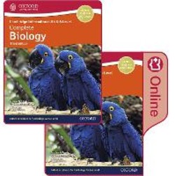 Copertina 9781382005302 Usato