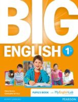 Copertina 9781447971719 Usato