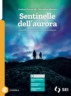 Copertina 9788805081509 Usato