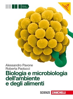Copertina 9788808058294 Usato