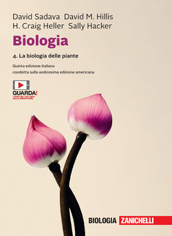 Copertina 9788808251473 Nuovo
