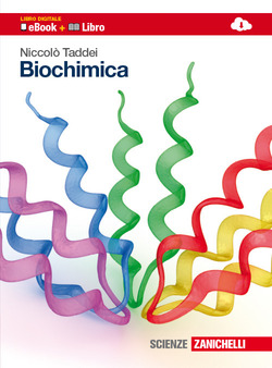 Copertina 9788808266170 Usato