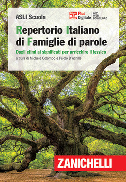 Copertina 9788808420718 Usato