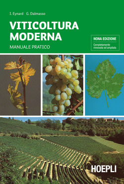 Copertina 9788820317683 Usato