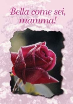 Copertina 9788821543449 Nuovo