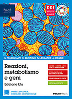 Copertina 9788823374690 Usato