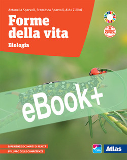 Copertina 9788826892979 Nuovo