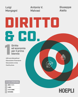 Copertina 9788836021598 Usato
