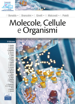 Copertina 9788836231010 Nuovo