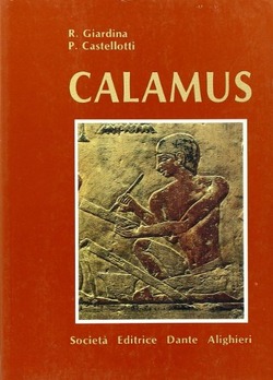 Copertina 9788853402363 Nuovo