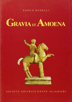 Copertina 9788853403834 Usato