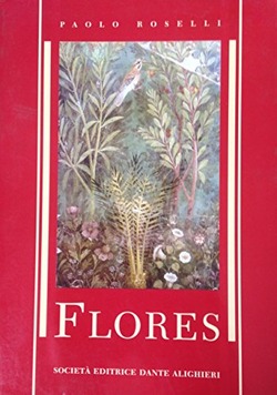 Copertina 9788853403933 Usato