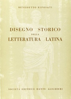 Copertina 9788853404060 Usato