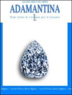Copertina 9788853404565 Nuovo