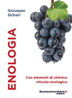 Copertina 9788862926102 Usato