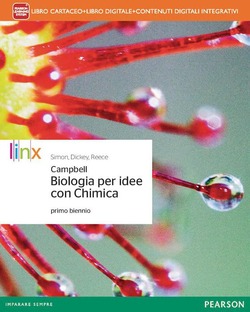 Copertina 9788863645491 Usato