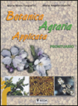 Copertina 9788883610752 Usato