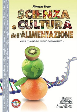 Copertina 9788884882431 Usato
