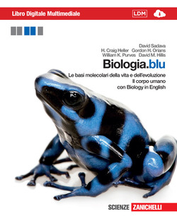 Copertina 9788808207142 Usato