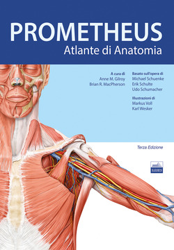 Copertina 9788833190105 Nuovo