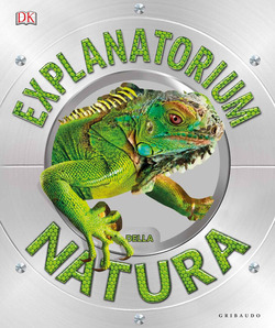 Copertina 9788858022177 Usato