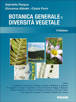 Copertina 9788829935567 Usato