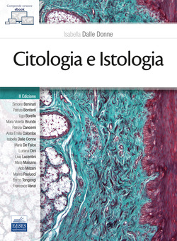 Copertina 9788836232222 Usato