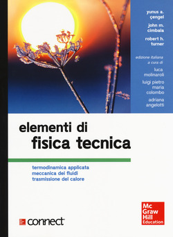 Copertina 9788838615436 Usato
