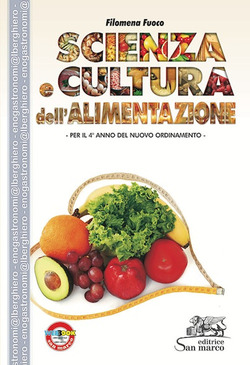 Copertina 9788884881960 Usato