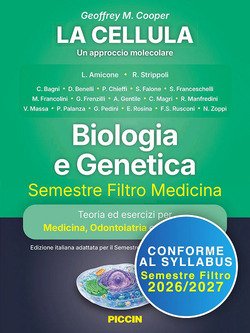 Copertina 9788829936717 Usato